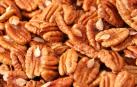 Las nueces modifican el sistema digestivo y mejoran la salud