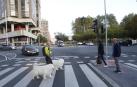 El cruce entre la avenida del Ejército y Pío XII, ¿Semáforo o rotonda?