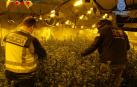 Detenidas 14 personas en Reus (Tarragona) por tráfico internacional de marihuana