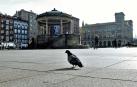 Una paloma, delante del kiosko de la Plaza del Castillo.