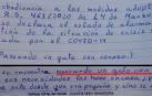 Fragmento de la denuncia a una mujer por sacar a pasear a su gato