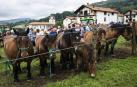 Urdax reúne a 23 ganaderos en el XI concurso caballar de raza Burguete