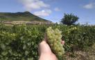 Bodegas Castillo Monjardin