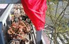 El pañuelo de San Fermín este sábado en todas las ventanas de Navarra. Esa es la idea con la que la capilla de San Fermín hace un llamamiento con motivo del cuarto peldaño de la escalera, este 4 de abril,