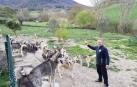 Baltasar Gallardo, junto a algunos de los perros con los que convive y compite en carreras de trineos, en el terreno de su casa