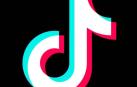 TikTok: así funciona la aplicación estrella de la cuarentena