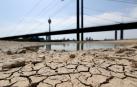 El año 2019 fue el más cálido de la historia en Europa