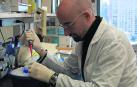 Salvador Macip, investigador ahora del cáncer y del envejecimiento en la Universidad de Leicester.