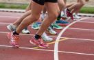 CSD repartirá 14 millones para ayudas sociales y apoyo a deportistas