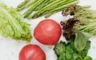 ¿Cuánto duran los efectos de una dieta?