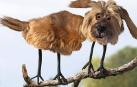 ¿Cómo serían los animales en realidad si fueran como los pintan los niños?