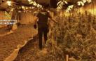 Hallan más de 2.300 plantas de marihuana en un cultivo subterráneo en Níjar