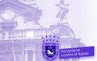 La web del Ayuntamiento de Pamplona, teñida de morado.