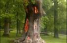 Un rayo provoca el incendió de un árbol en Alsasua