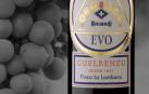 Una botella de Guelbenzu Evo 2013.