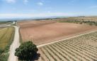 Enhol invertirá 34 millones en una planta solar en Arguedas y Valtierra