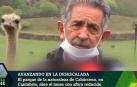Un avestruz le roba el protagonismo a Miguel Ángel Revilla ante los medios