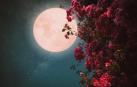Imagen de la Luna 'de fresa'