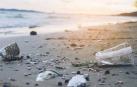 38 erasmus, obligados a limpiar una playa gallega tras un botellón