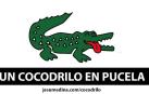 El supuesto cocodrilo de Valladolid ya tiene una línea de camisetas y una canción