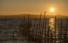 Fotografía atardecer albufera Valencia