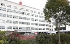 Navarra registra ocho nuevos casos de Covid-19 y ningún fallecido en el último día