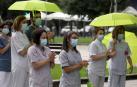 Un cerezo recuerda a las víctimas del coronavirus