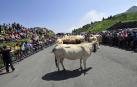 La Piedra de San Martín, frontera entre los valles de Roncal y Baretous (Francia), volvió a ser testigo de la firma del Tributo de las Tres Vacas, acto que sirve para renovar un año más la paz entre valles