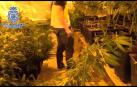 Golpe al mayor entramado de heroína y marihuana en Madrid, con 46 arrestos