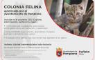 El Ayuntamiento seguirá impulsando el programa de control de la población felina