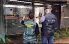 Vídeo: La Guardia Civil desarticula una red dedicada al tráfico ilegal de especies protegidas