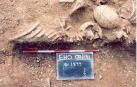 Los vikingos pudieron propagar uno de los virus más mortales del mundo