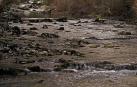 El nacedero del río Ubagua, un camino que suena a agua en Tierra Estella