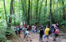 Iturburua-Bertiz, un recorrido por el parque
