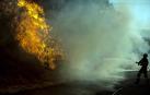 El voraz incendio que desde la tarde de este miércoles afecta a los municipios ourensanos de Cualedro y Monterrei continúa activo y avanzando y supera ya las 1.000 hectáreas