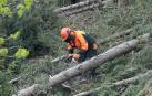 La nueva campaña para trabajos forestales se convocará en febrero