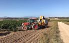La vendimia en la zona de la DOC Rioja se retasa entre 15 ó 20 días