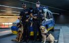 Los hocicos enemigos de la droga