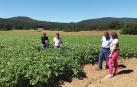 La superficie agraria ecológica en Navarra ha crecido un 18% en 2017