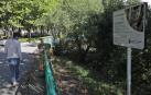 Las calles de Pamplona, hogar de unos 2.100 gatos
