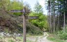 Un sendero ferroviario entre Navarra y Guipúzcoa
