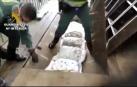 Vídeo: 62 detenidos en una operación contra el tráfico internacional de drogas