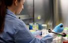 El Gobierno foral destina 1,5 millones de euros para la contratación de 18 doctorandos industriales