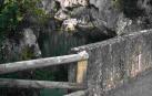 Puente sobre el río Salazar junto a la foz de Arbayún.