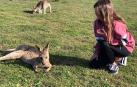 Australia, nuevo hogar para una publicista navarra