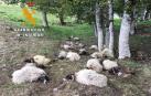 Una vaca y 32 ovejas, muertas en Sorogáin, al parecer por un rayo