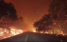Vídeo: La Casa Blanca desbloquea fondos federales para combatir los incendios de California