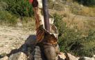 Destrozan la estatua del cocodrilo que apareció en Montejurra