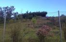 Se vende Finca de recreo de 7.500 m2