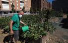 La huerta, un espacio que une al barrio
